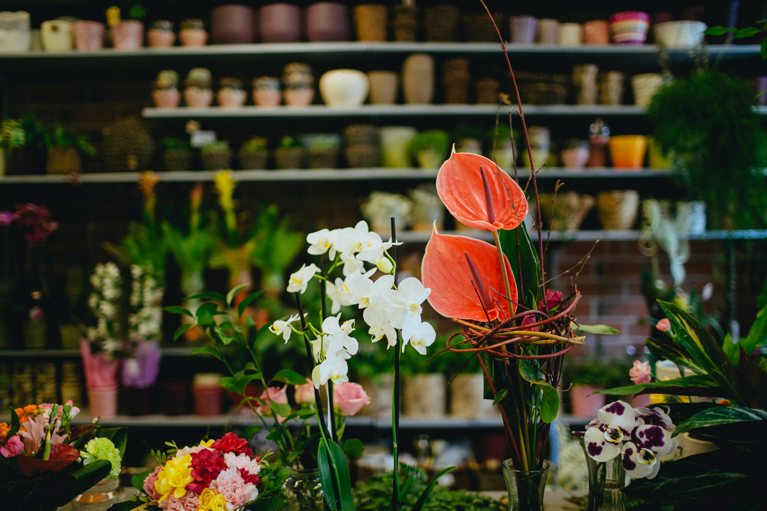 bunch-flowers-store